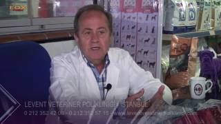 LEVENT VETERİNER POLİKLİNİĞİ - İSTANBUL