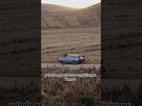 cosecha de papa en las alturas del valle del Mantaro #junín #huancayo🇵🇪📸  #turismo #travesia #viajes
