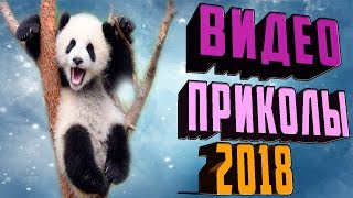 Самые лучшие приколы 2018. Видео приколы онлайн. Ржака. Розыгрыши