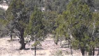 preview picture of video '1730 Canyon Drive, Heber, AZ 85928'