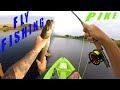 Video Thumbnail for How To FLY FISH Northern Pike From A Kayak! Fish FRENZY Catching Jack!