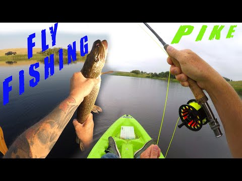 How To FLY FISH Northern Pike From A Kayak! Fish FRENZY Catching Jack!