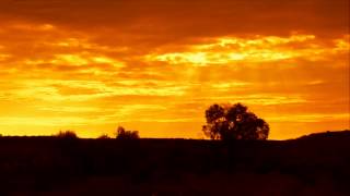 Golden African Landscape at Sunrise - Africa Travel Channel