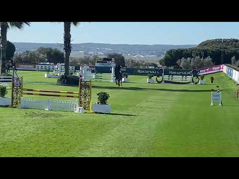 Daredevil Z (Dominator Z X Pronto) Sunshine tour 2022