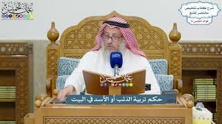 4219 - حكم تربية الذئب أو الأسد في البيت - عثمان الخميس