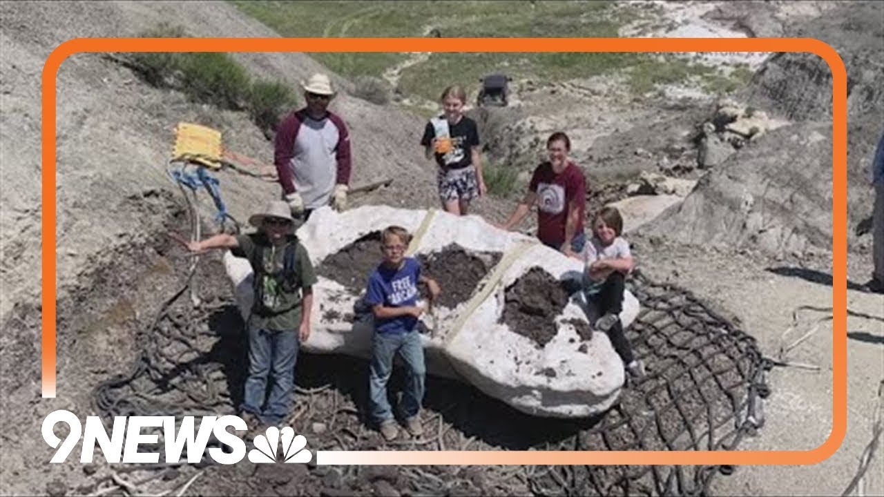 Incredible Discovery Of Teenage T Rex Fossil By Three North Dakota Boys Stuns America