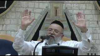 הרב ליאור כחלון,משלי,פרק כה (הרב ליאור כחלון) - התמונה מוצגת ישירות מתוך אתר האינטרנט יוטיוב. זכויות היוצרים בתמונה שייכות ליוצרה. קישור קרדיט למקור התוכן נמצא בתוך דף הסרטון