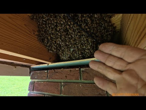 This Is Why Women Live Longer Than Men  