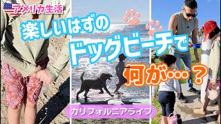 【カリフォルニア生活】大型犬と過ごす最高の休日…と思いきや娘がずぶ濡れで絶望ｗ
