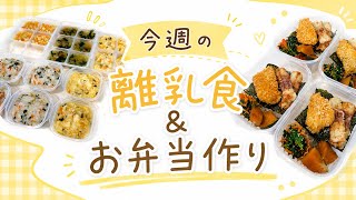 今週の離乳食&冷凍タッパー弁当作り