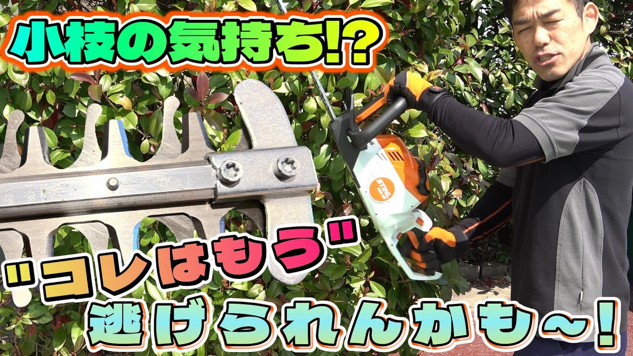 「なるほどよく分かる」剪定作業初心者に「ヘッジトリマーの紹介動画」STIHL　HSA50/HSA60の紹介　＃ガーデニング＃剪定作業＃ヘッジトリマー