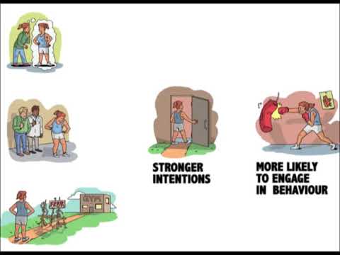What Is Behavior Change in Psychology? 5 Models and Theories