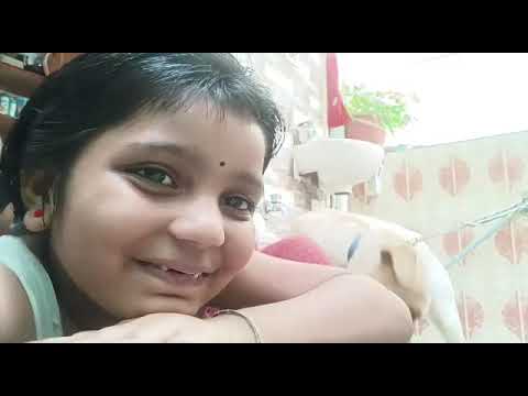 my friends pet sweety