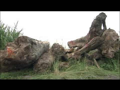 莫拉克風災漂流木處理及崩塌地復育紀錄片