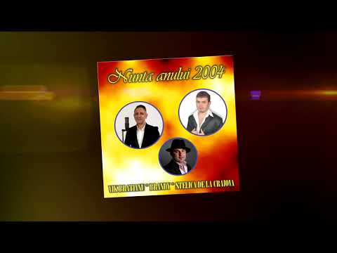 Stelica de la Craiova - Vreau sa stie tot Ardealu | Live | Audio