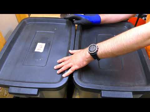 Should you Blend your Worm Food?? Day 13