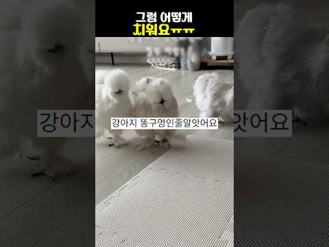 그럼 어떻게 치워요ㅠㅠ