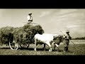 .Pierre Bachelet: paysan--(1998):L’agriculture, des métiers d’avenir pour des jeunes en quête de...