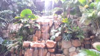 Waterfall at Best Western Puerto Vallarta Spring Break Hotel by Inertia Tours