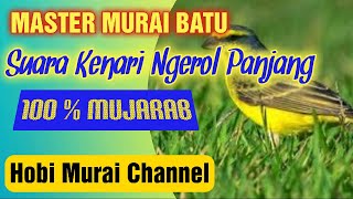Download lagu Master Terbaik Untuk Murai Batu Suara Kenari Ngerol Panjang berjeda mp3