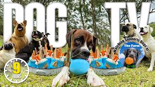 Doggy Daycare TV: 9 Hours Pure Dog Entertainment & Variety 🐶 Videos for Dogs to Watch Reduce Anxiety