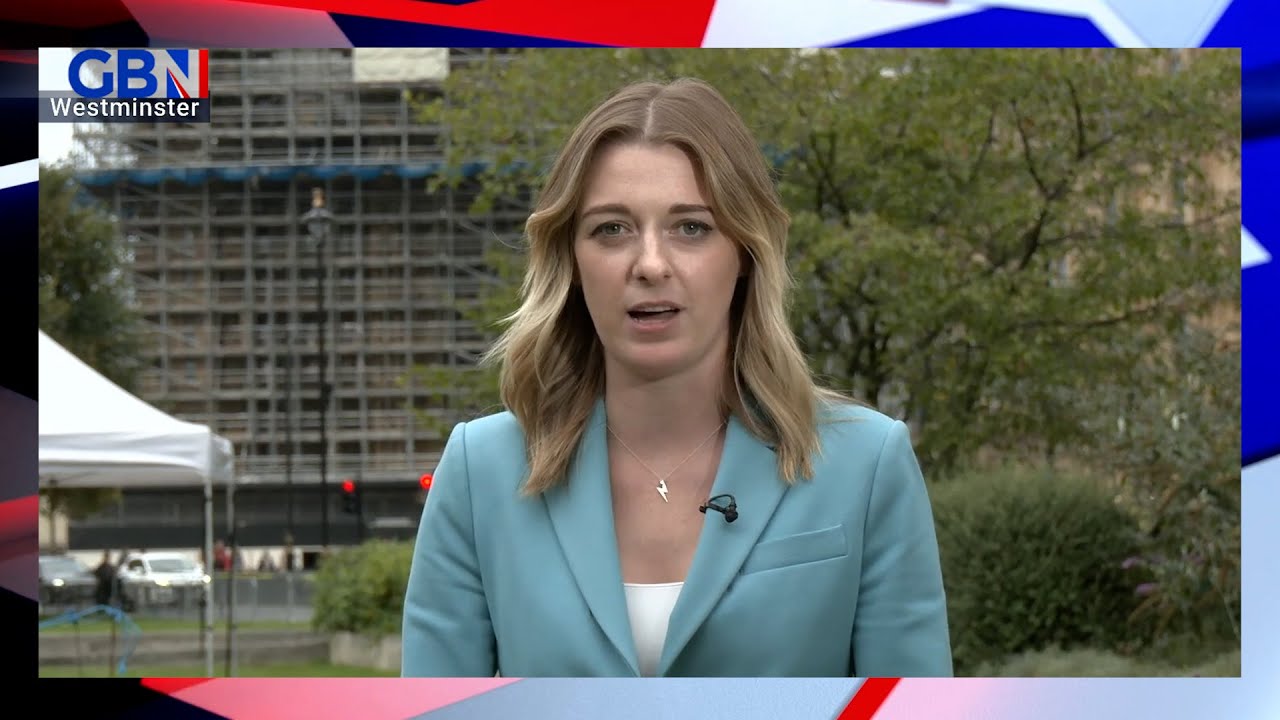 Special economic zone VIDEO thumbnail