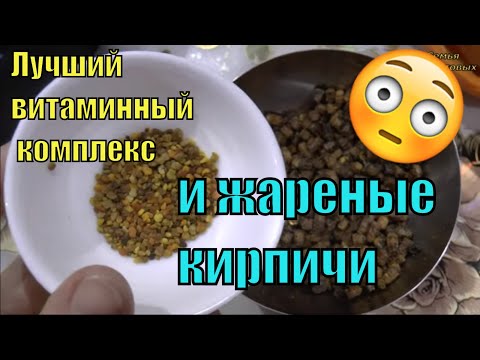 Родители довели или как делать уроки :)  Дела последних дней/ Семья Фетистовых