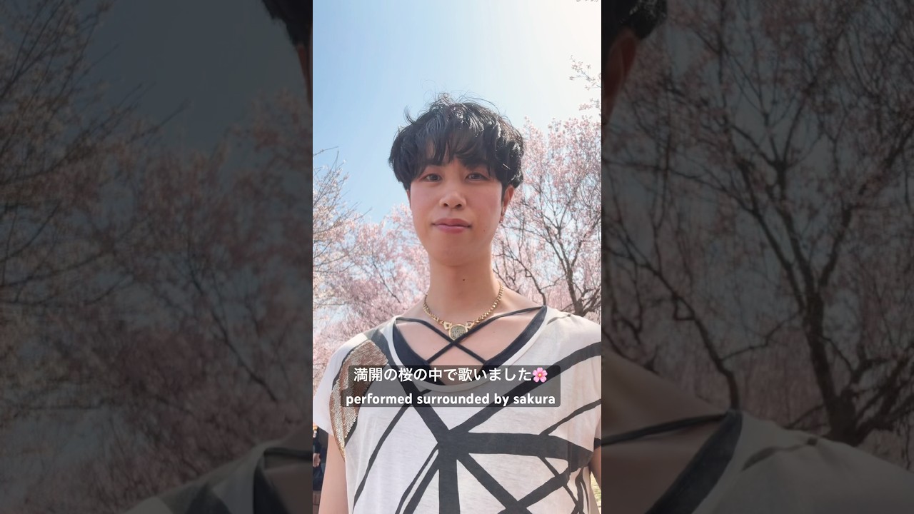 満開の桜の中で歌いました🌸 performed surrounded by sakura #shorts #sakura #さくらまつり