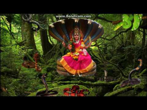 Nagavlli Rani | Official Music Video | Siva Sakthi Urumi Melam