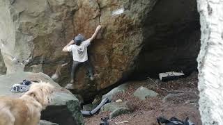 Video thumbnail of Zatím Do Police, 6C+. Modřín