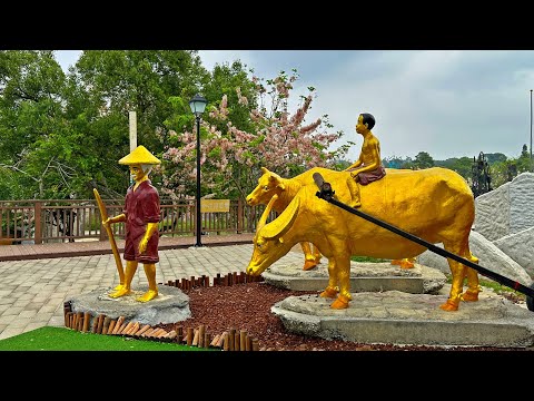 O magnífico parque à beira-mar Zhuqi