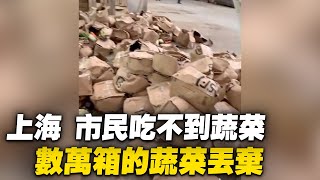 [黑特] 上海 , 數萬箱 蔬菜 被丟棄
