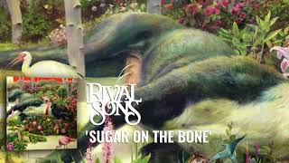 Rival Sons: Sugar on the Bone (Official Audio)