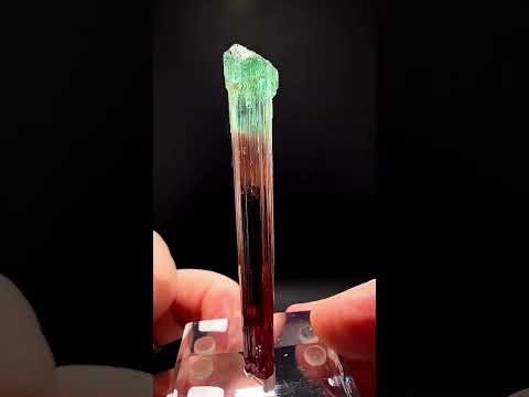 Tourmaline from Minas Gerais, 8.20 g | Fine Mineral Specimen