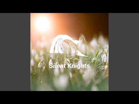 Spring Birds, Forest and Motorway Drone