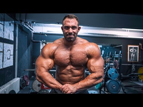 Der beste Trainingsplan!