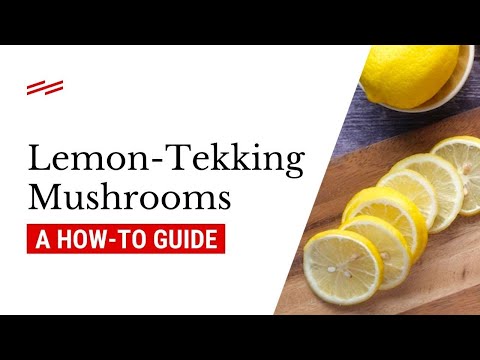 How to Lemon Tek Mushrooms