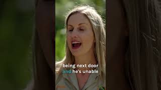 Tortoise Cracks His Shell HOW?😲 | Bondi Vet #bondivet #shorts #tortoise