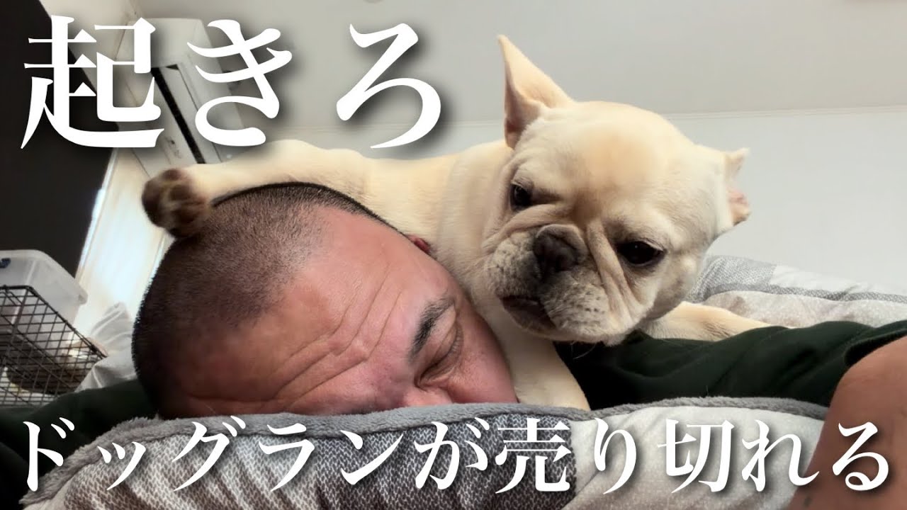 ドッグランが売り切れる前に飼い主を叩き起こすエレンたそ