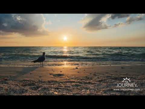 Daily Healing Meditation #14