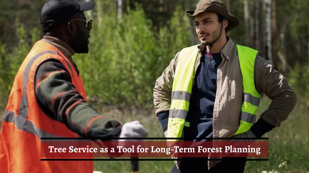 Arrow Fire and Land Management - Why Tree Service Is Key to Healthy Forests