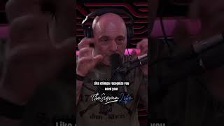 Joe Rogan on a Horrific Chimp Attack
