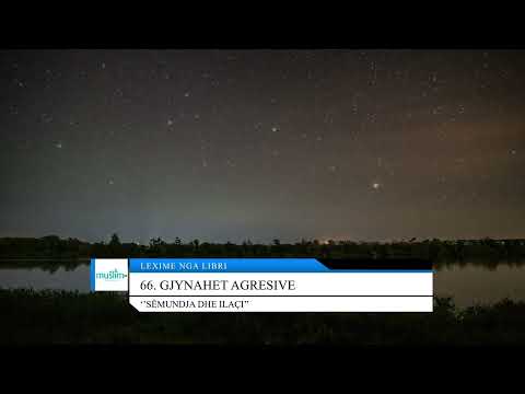 66. Gjynahet agresive - Lexime nga libri: ''Sëmundja dhe ilaçi''