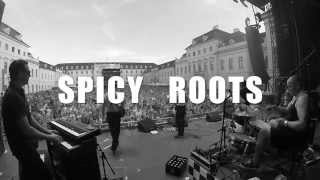 Spicy Roots Live - KSK music open `15