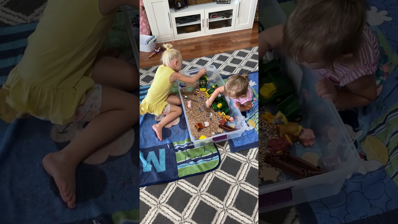 Farm Animal Sensory Bin! #sensoryfun #sensoryplay #kidactivities #kidfun