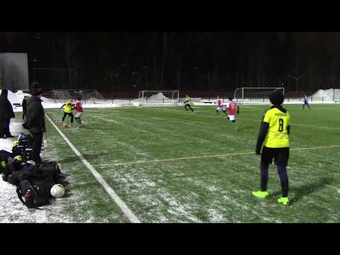 TPV - Honka P06 era 1 20190202