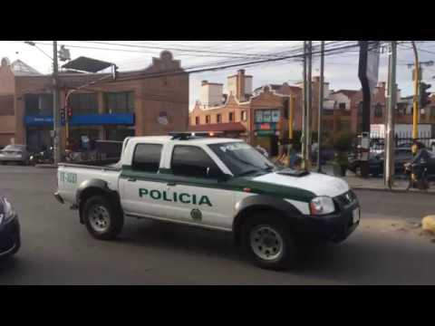 Final Póliza perros (Paulo Cañón y Juan Diego Bernal)