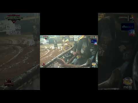 🤠FINAL EM TOUROS - Santo Inácio Rodeio Show 2025🤠🎤 #shorts