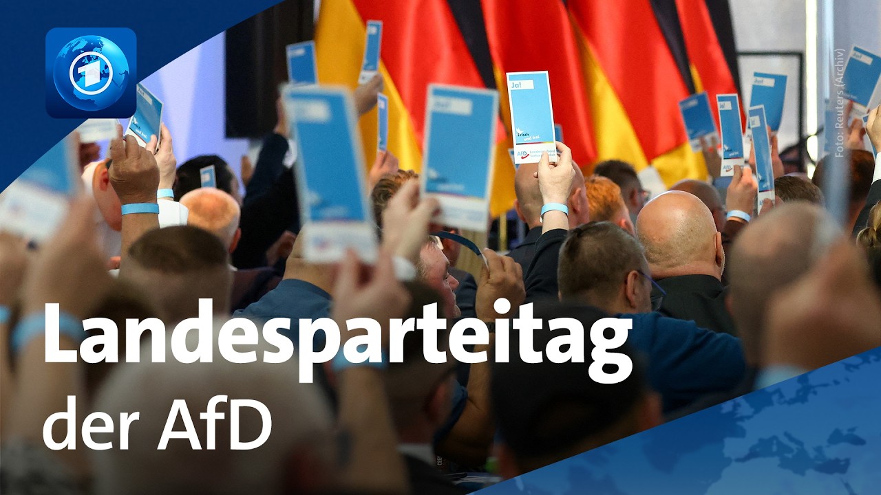 Landesparteitag der AfD in Sachsen-Anhalt
