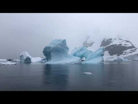 The Scumfrog   Antarctica